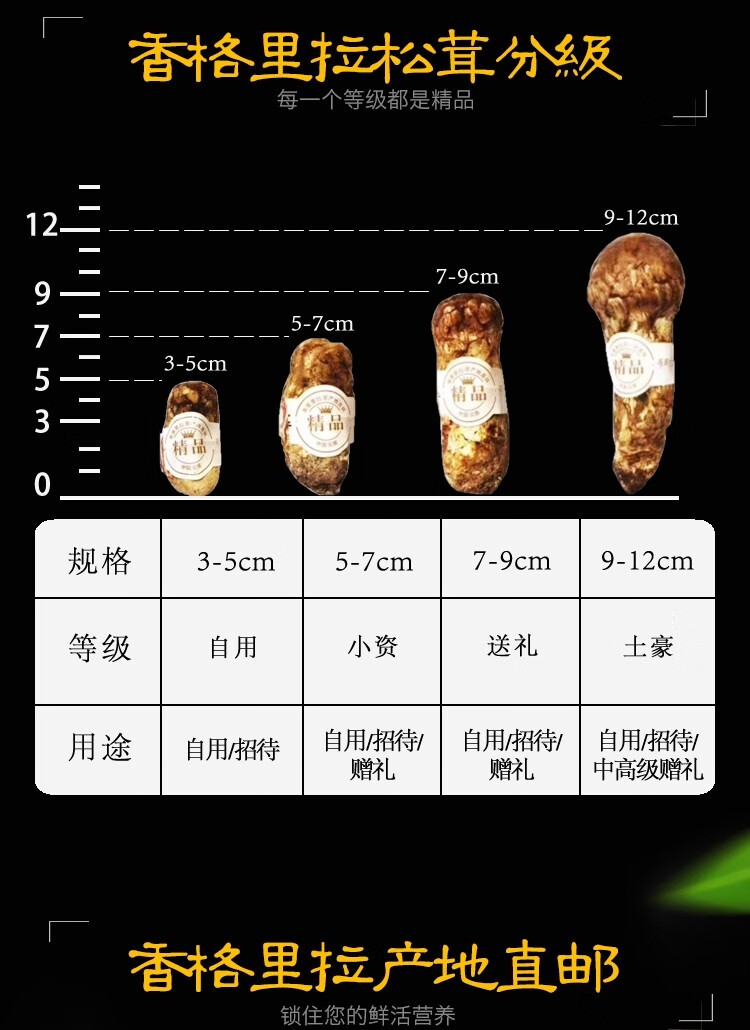 大荔扶贫馆香格里拉新鲜松茸出口级松茸香格里拉松茸912cm1000g