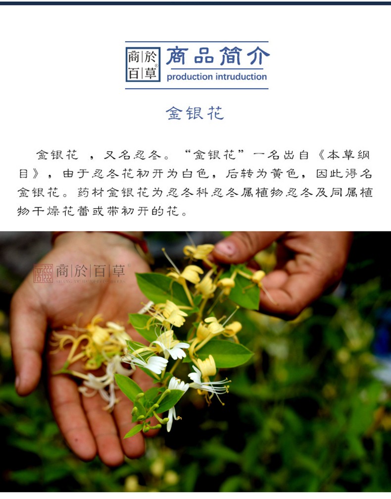 野生金银花 秦岭野生金银花泡茶非种植金银花原产地直供滋补材料菊花