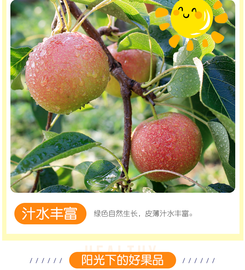 辽宁鞍山南果梨当季新鲜南国梨香水梨南国梨小梨子25kg新鲜水果年货