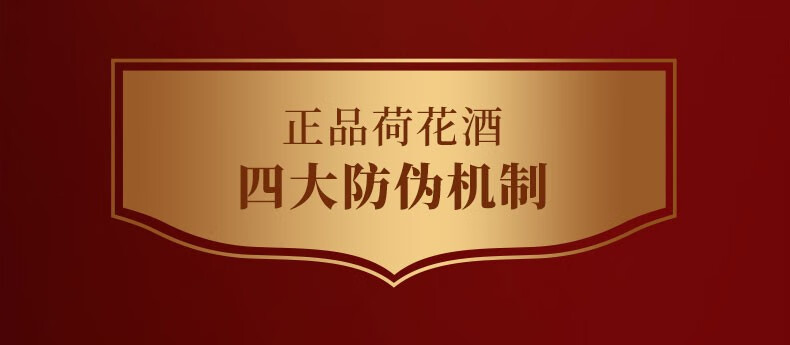 荷花价格大全表图