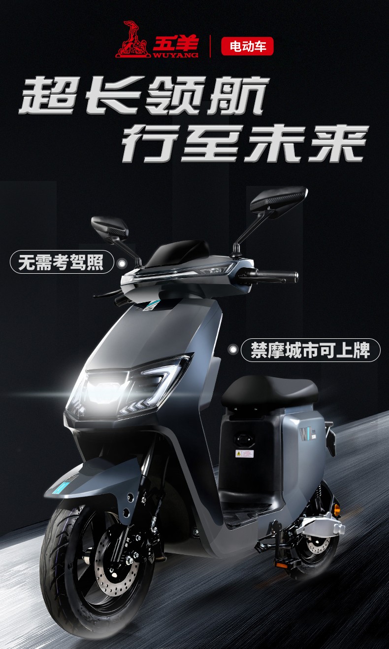 五羊电动车电动自行车新国标长跑外卖双人踏板车可上牌不考驾照电瓶车