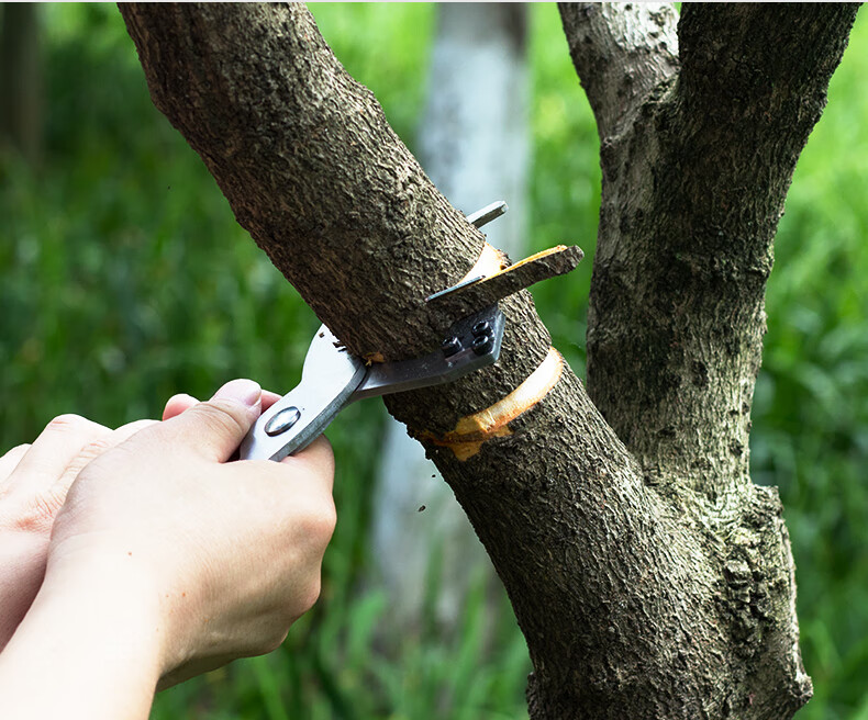 2022款刀果树柑橘枣葡萄树老树皮剥皮刀开甲刀环割放水荔枝环剥器剪