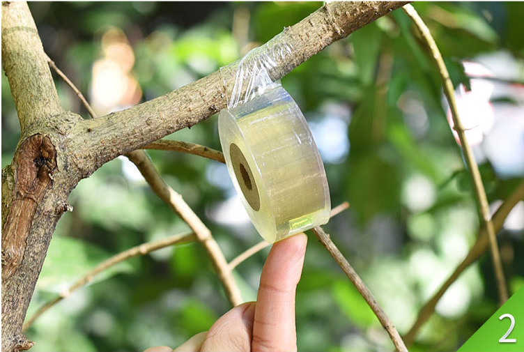 嫁接膜塑料果树嫁接膜自粘型无需打结薄膜包装膜嫁接绑带缠绕膜 宽15