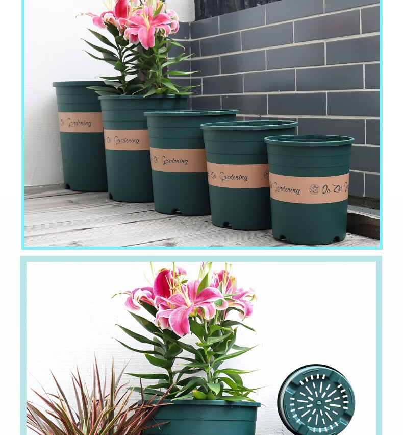 加厚三代加仑盆绿萝多肉月季盆塑料花盆圆口控根盆树脂加仑盆3号盆托