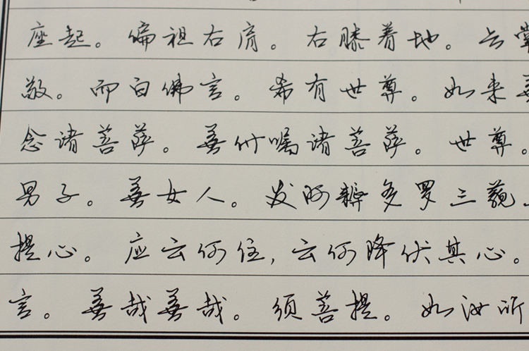 金刚经硬笔钢笔字帖练字高行书练字帖楷书瘦金体簪花小楷行楷 情书体