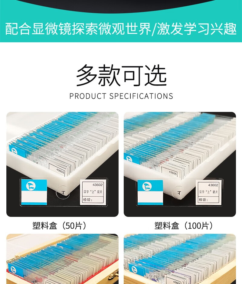 豫安宁生物切片永久装片人血涂片人体四大组织字母e上字初高中神经装