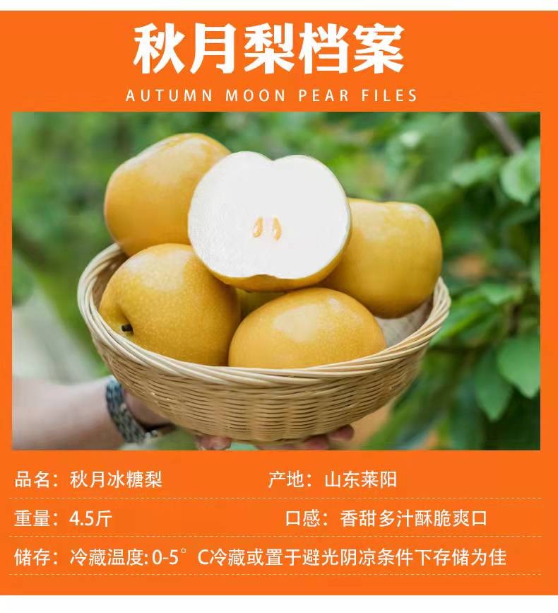 山东秋月梨新鲜水果送礼脆甜羊脂冰糖莱阳梨5斤装9个左右