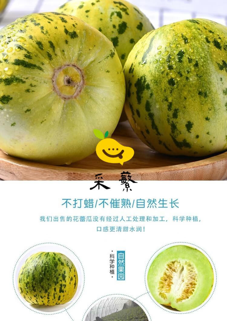 花蕾甜瓜八里香甜瓜花姑娘脆甜多汁新鲜现摘整箱应季水果10斤