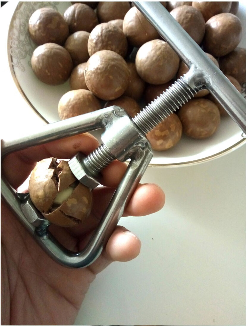 开坚果神器夏威夷果开壳器开口器开果器不锈钢夹子新鲜生坚果工具家居
