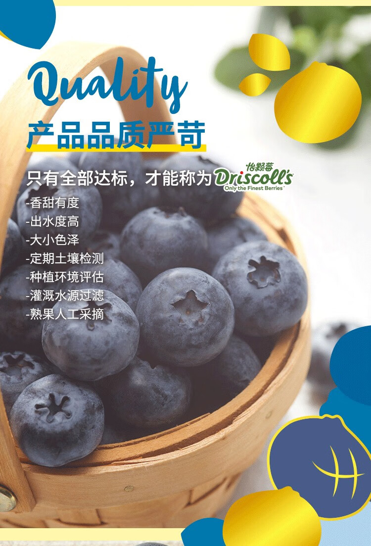 driscolls怡颗莓云南蓝莓新鲜水果当季蓝莓生鲜水果约125g盒超值优选