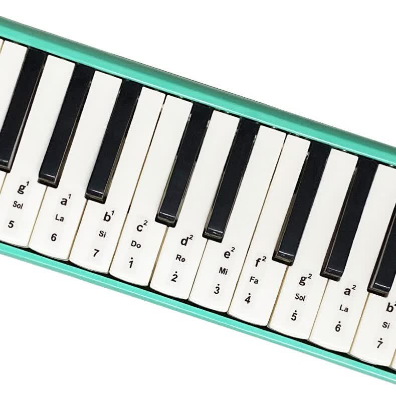 口风琴键盘贴专业37键32键27键音标贴通用奇美铃木初学入门音阶贴 32
