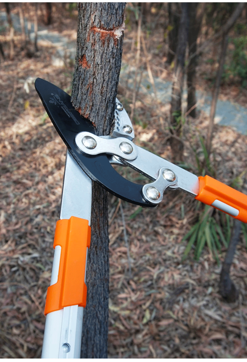 deepbang德国进口伸缩大力剪粗枝剪树枝剪刀修枝剪果树修剪神器园林高