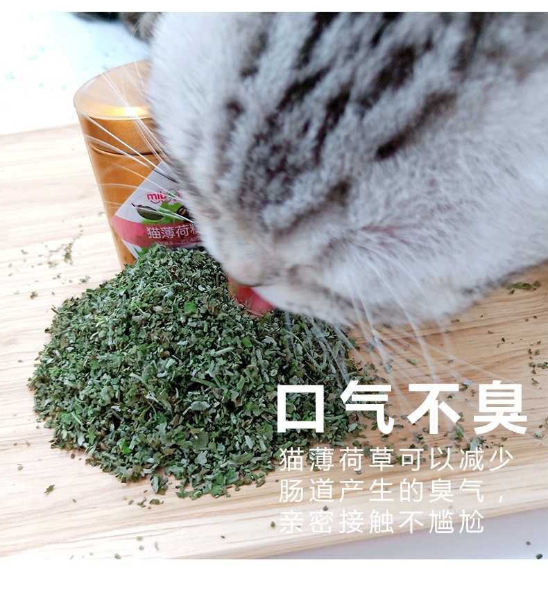 猫咪零食猫薄荷粉末猫薄荷叶干食用兴奋猫草去毛球猫簙荷缓解情绪 猫