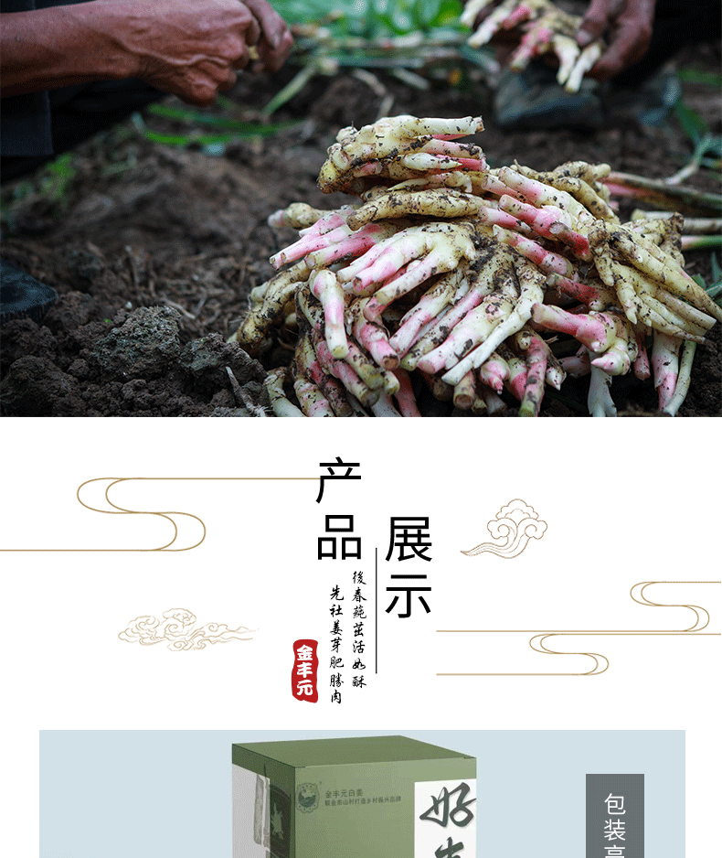 金丰元铜陵馆安徽铜陵特产白姜糖醋生抽好事姜近生姜礼盒1000g糖醋姜