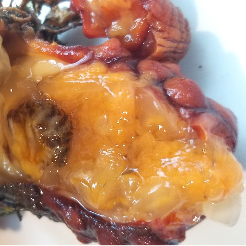 海鲜阁现货真海鞘海菠萝海石榴海奶子海鲜生鲜料理海鲜水产顺丰速运