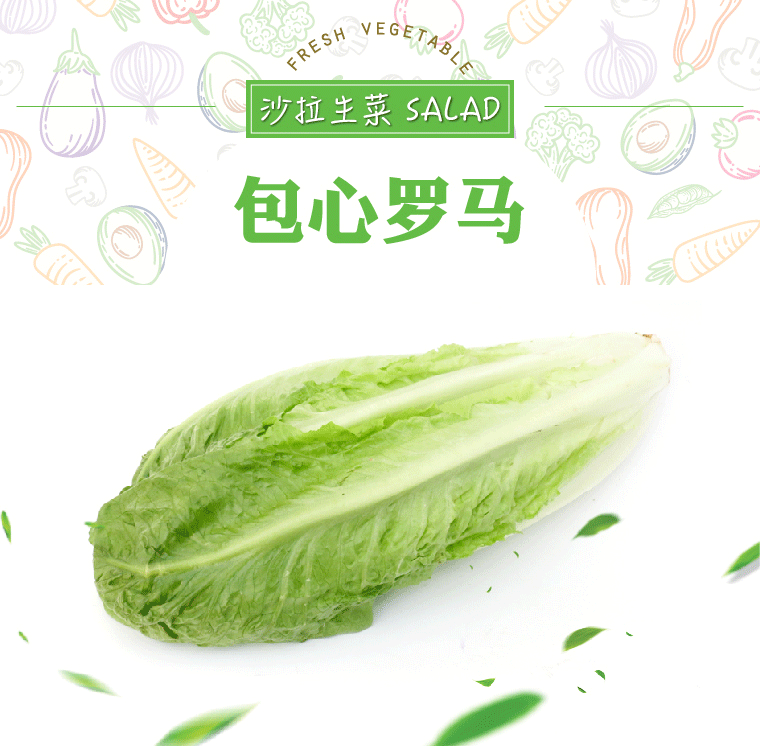 顺丰包心罗马生菜罗纹凯撒生菜西餐沙拉食材1000g