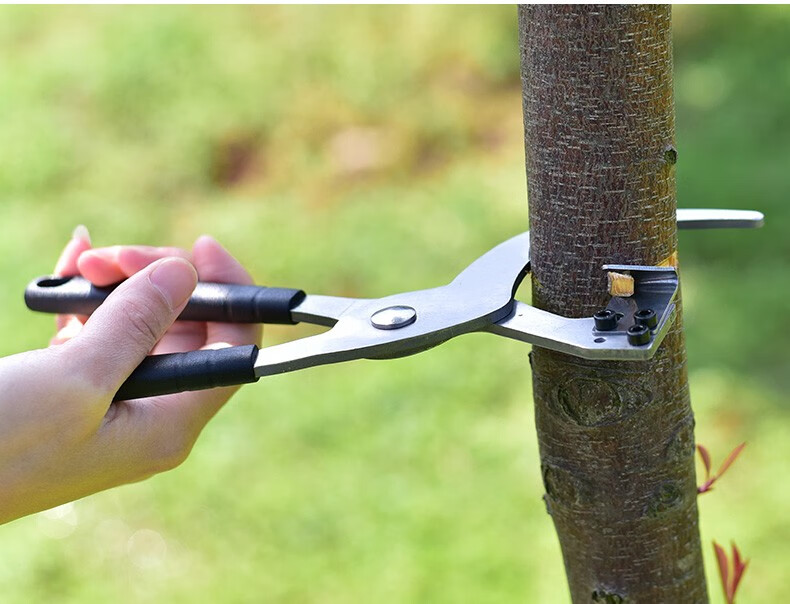 环剥器枣树环割刀环剥钳苹果树剥皮刀果树割树皮工具开甲刀 新型环剥