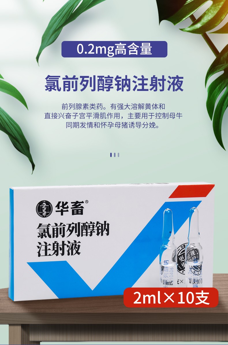 华畜 兽药兽用氯前列醇钠注射液猪药牛药同期发情 0.