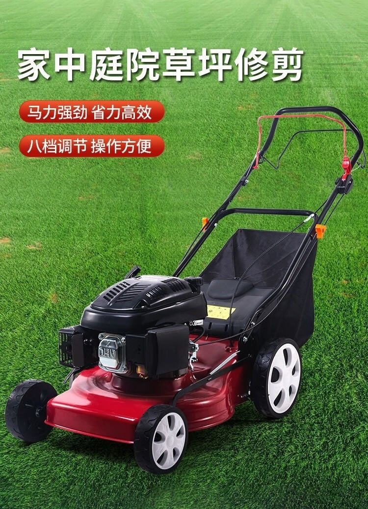 进口本田动力草坪机手推式割草机除草机打草机剪草机推草机打草机汽油