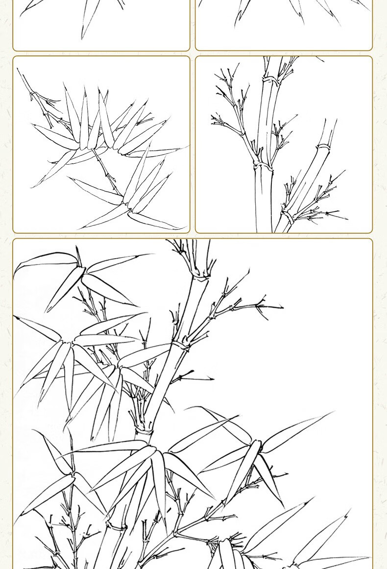正版中国画白描入门篇国画临摹白描画谱底稿工笔画零基础白描入门梅兰