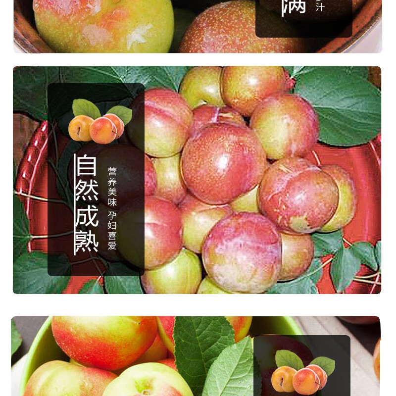 新鲜珠宝李红布林李子新鲜水果脆甜孕妇3斤装