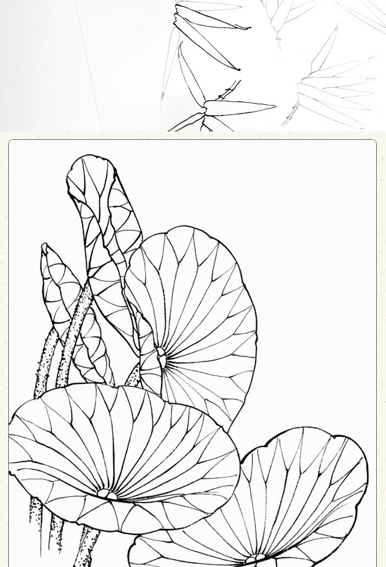 正版中国画白描入门篇国画临摹白描画谱底稿工笔画零基础白描入门梅兰