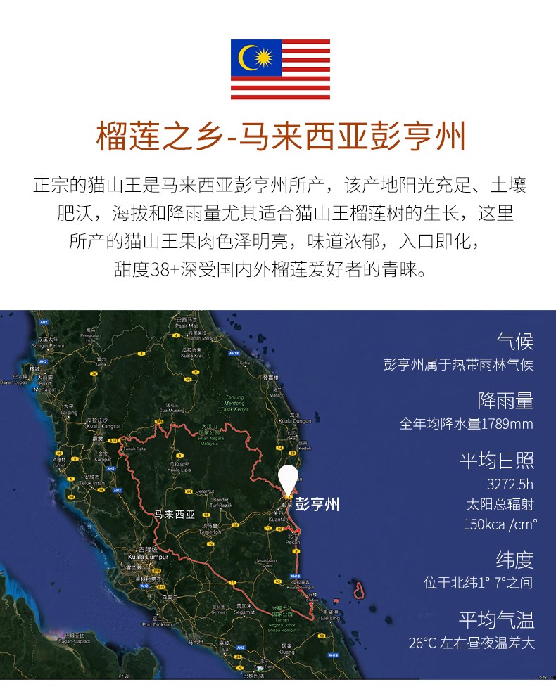 马来西亚进口猫山王榴莲263斤装1315kg