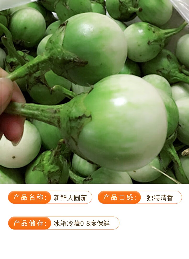 寻味君 泰国品种大圆茄 圆茄子咖喱菜食材 新鲜蔬菜 5斤【图片 价格