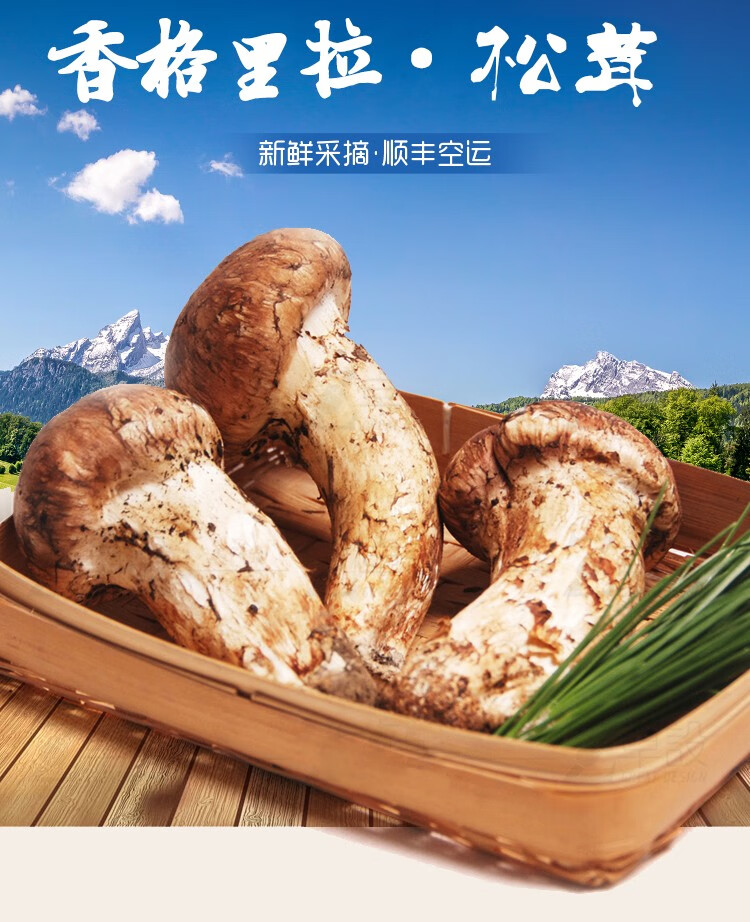 味觉之旅：牦牛肉干在高原上的魅力