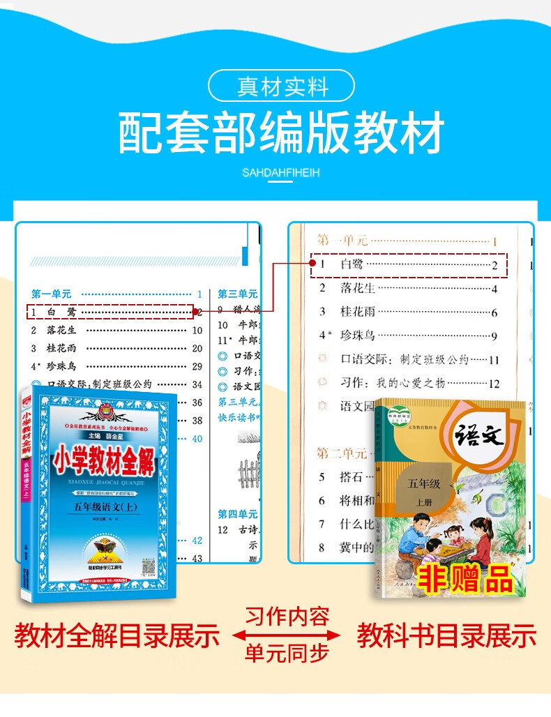 2020新版薛金星小学教材全解五年级上册语文配套部编人教版小学生5