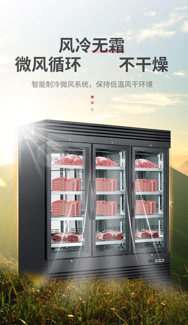 牛排熟成柜商用干式放牛肉柜熟成排酸柜西餐湿式冷藏柜冰箱filterman
