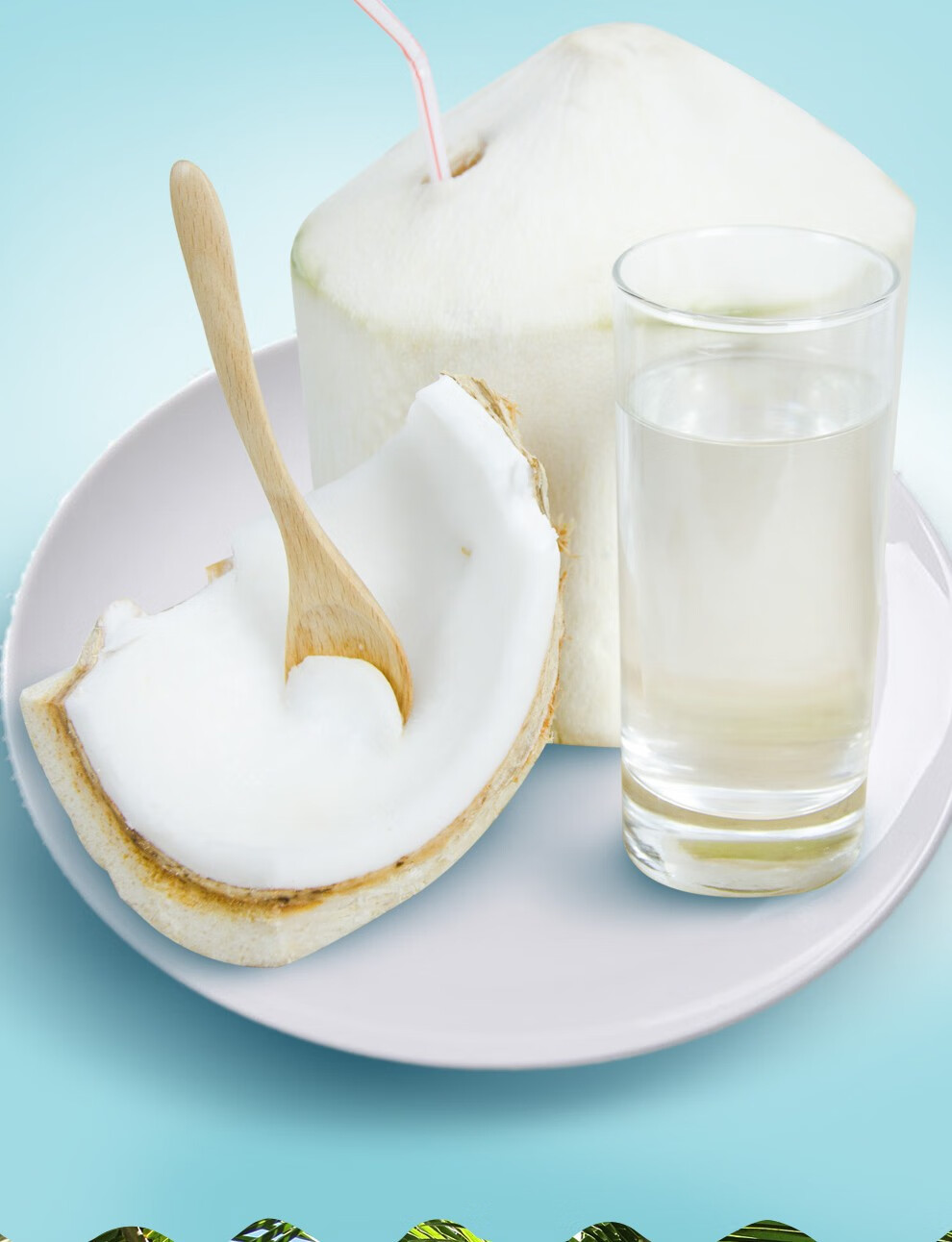 壹农壹果 泰国进口椰青 原箱装大果 大椰子奶香椰 新鲜水果 精选2个装