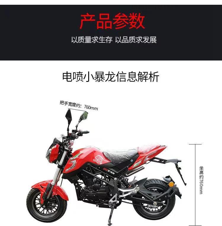 国四新款电喷宝雕小暴龙200cc小怪兽小猴子m3大公仔迷你特技街车代步