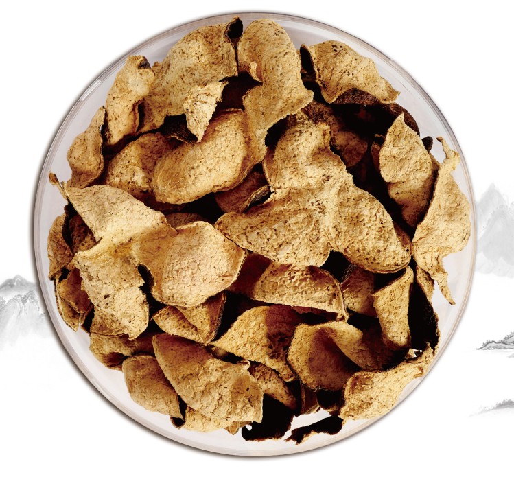 陈百年陈皮人家正宗新会陈皮50g老陈皮广东新会送礼十年圈枝新会陈皮