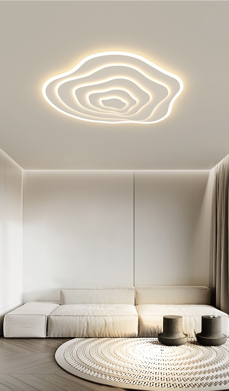 飞雄吸顶灯客厅灯现代简约大气异形led灯家用卧室灯饰温馨创意餐厅