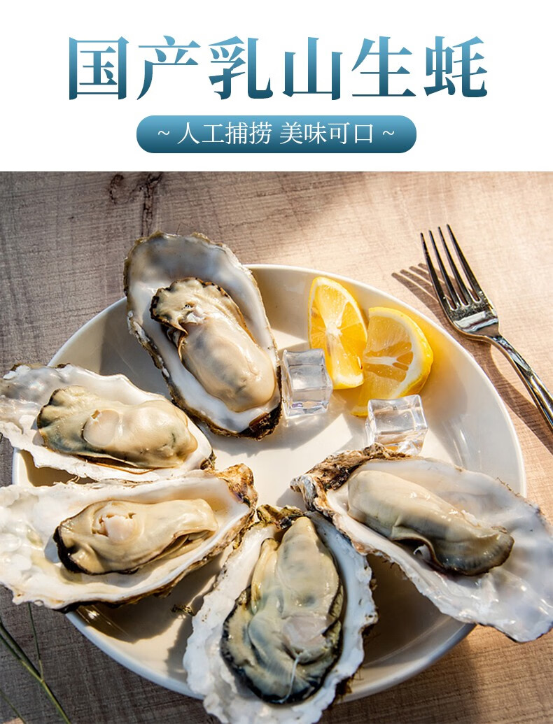 【活鲜】鲟好物生鲜 山东生蚝5斤 整箱特大新鲜保活 海鲜水产海蛎子特