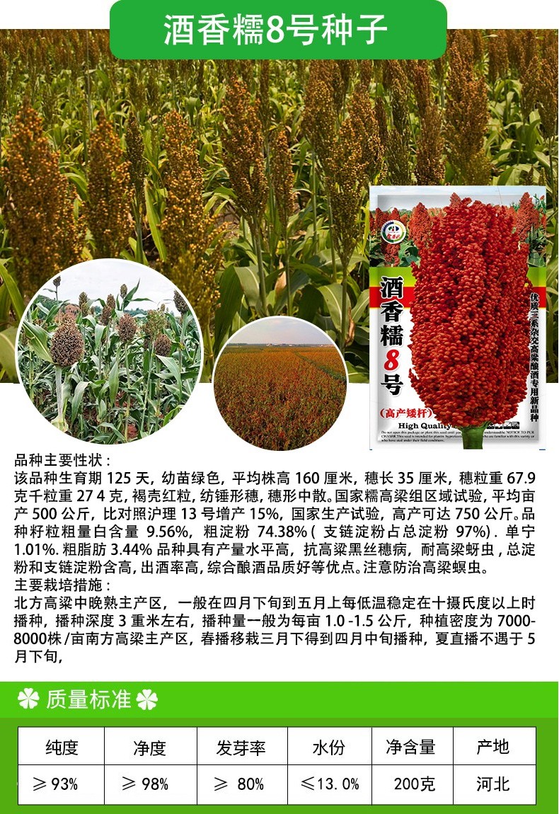 凤鸣雅世 甜高粱种子八棵杈好吃高粱种子酿酒高粱种籽红缨子高产矮杆