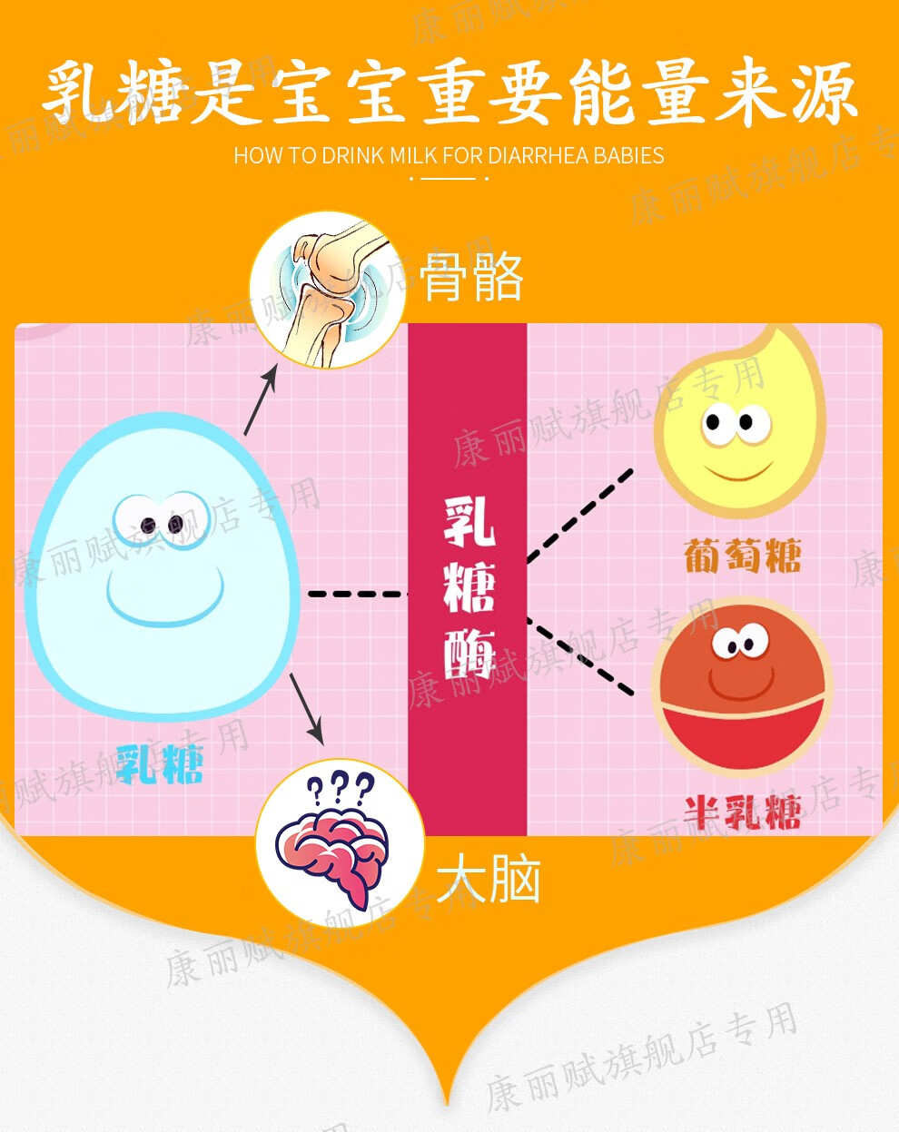 康丽赋colief乳糖酶滴剂婴幼儿宝宝肠胃营养成人不耐受酶 2瓶共14ml