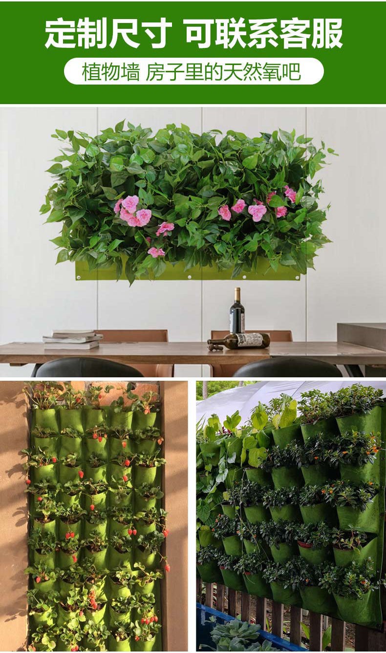 垂直绿化植物种植袋挂墙加厚壁挂立体阳台种菜花盆毛毡植物墙平底口袋