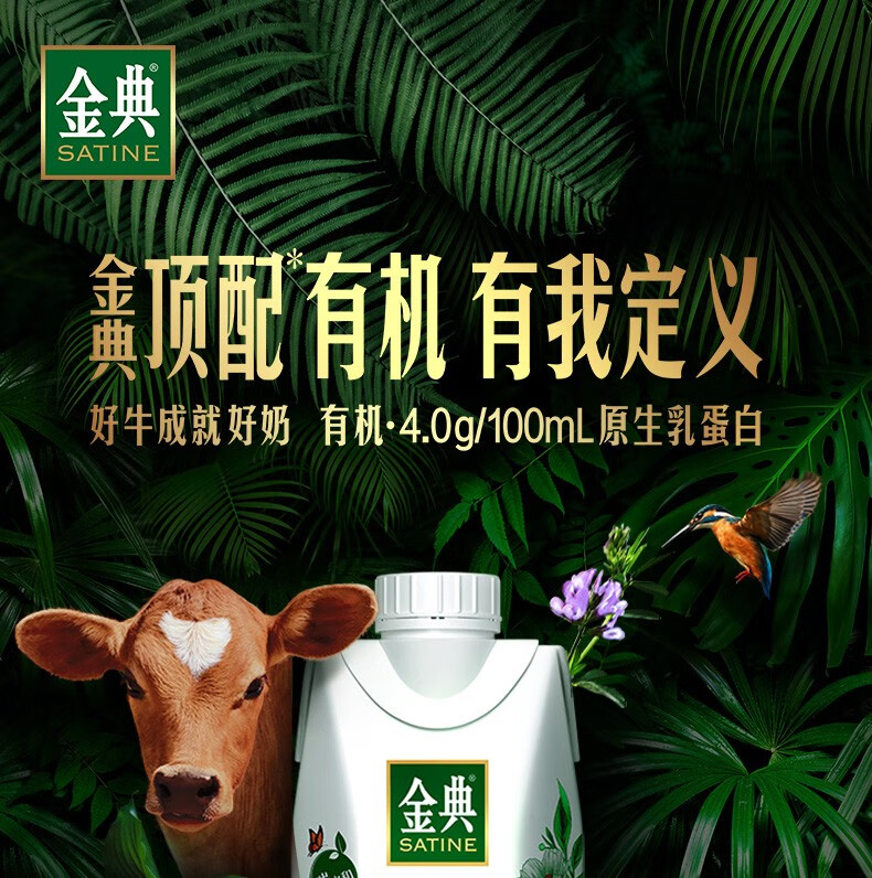 任贤齐推荐 金典娟姗有机纯牛奶250ml*10盒提 4g乳蛋白全脂有机 金典