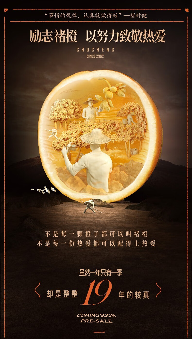 【禇橙官方 顺丰直发】云南正宗褚橙励志橙禇时建橙子10斤精品礼盒装