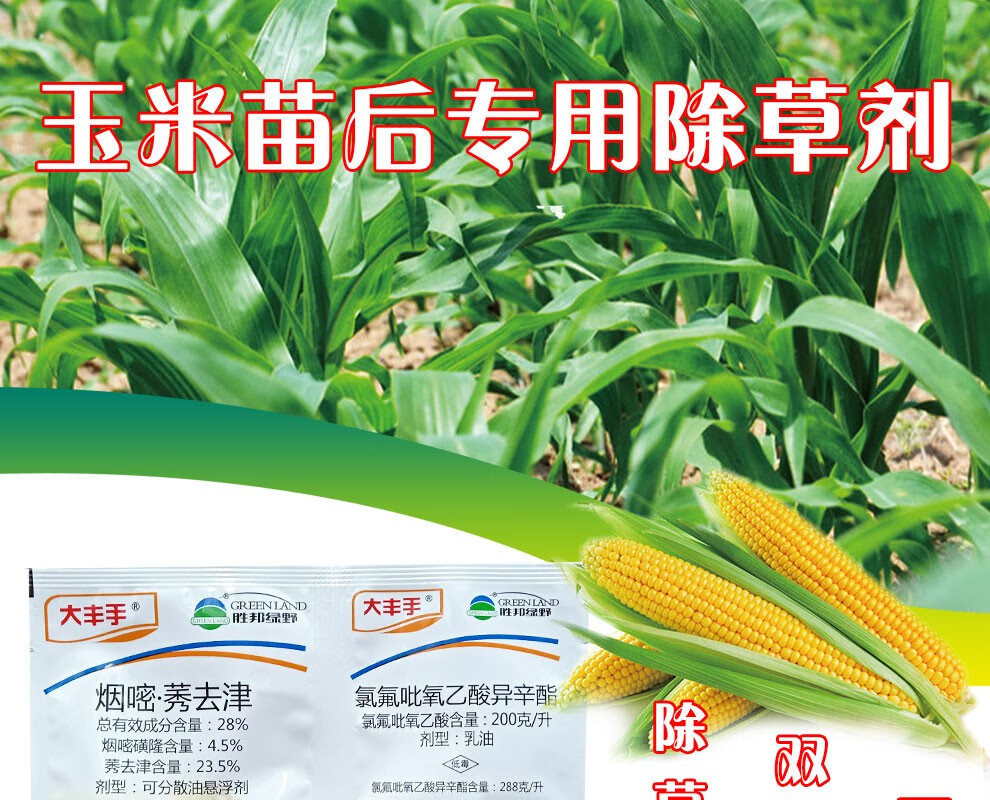 玉米苗后专用除草剂不伤苗玉米地封闭除草剂烟嘧磺隆莠去津氯氟吡氧