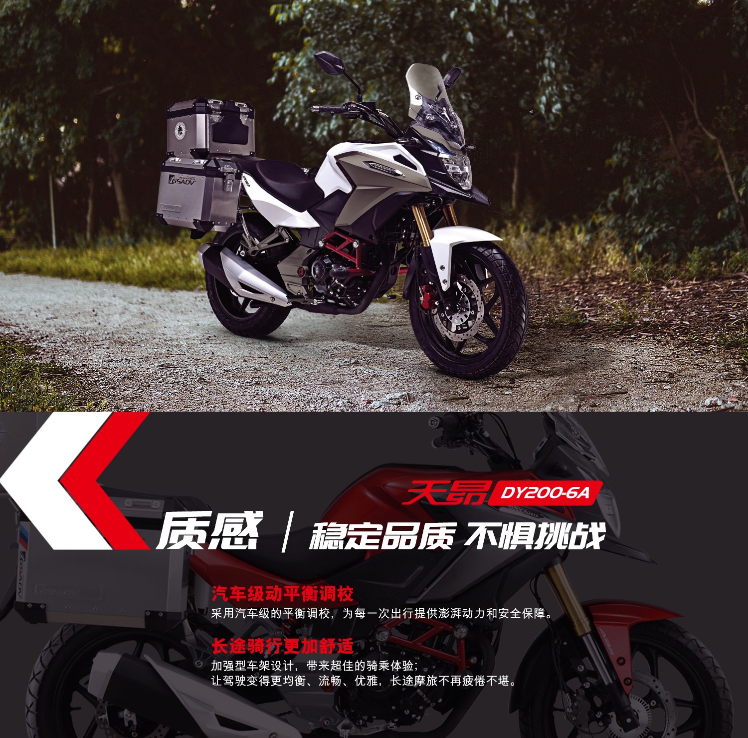 定金大阳天昴dy2006a小排拉力车abscbs版200cc水冷电喷摩托车abs标准