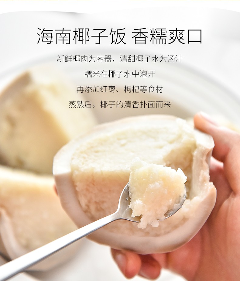 椰子饭538g礼盒装春光海南特产即食熟饭原味椰汁椰肉椰壳红枣枸杞椰子