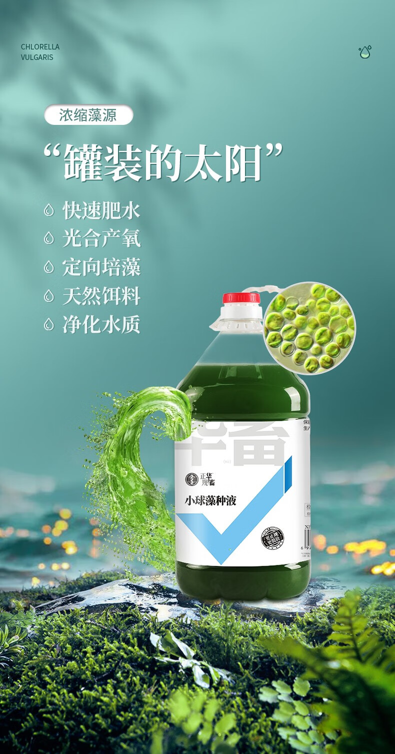 华畜小球藻藻种增氧鱼塘虾蟹贝塘水产养殖开口饵料绿水藻种肥水培藻藻