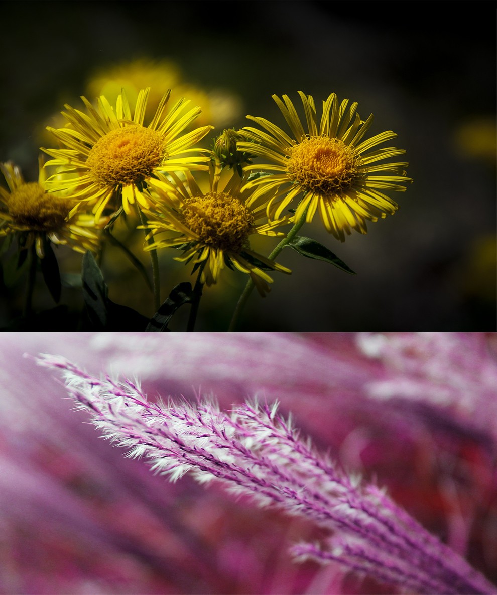 二手摄影摄像 二手镜头 苹果(apple) 【二手99新】nikon尼康105mmf2.