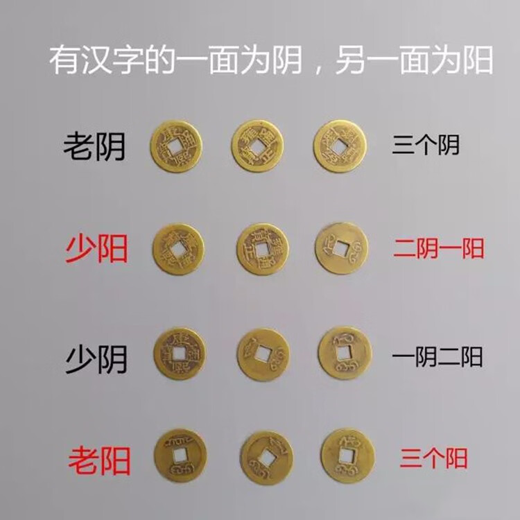 泰瑞格周易教具摇卦工具起卦工具易经八卦骰子卦具铜钱解卦书方圆图易