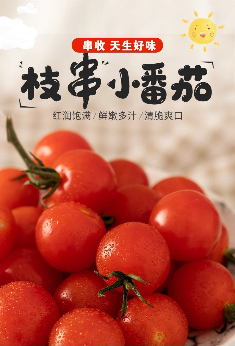 串收小番茄当季玲珑圣女果枝串千禧果新鲜水果自然熟西红柿生吃2斤串