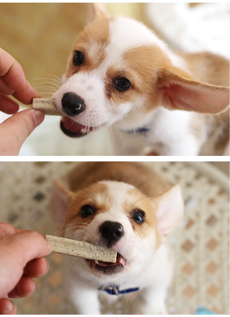 幼犬磨牙棒两三个月泰迪柯基洁齿骨小狗零食耐咬除口臭补钙狗咬胶