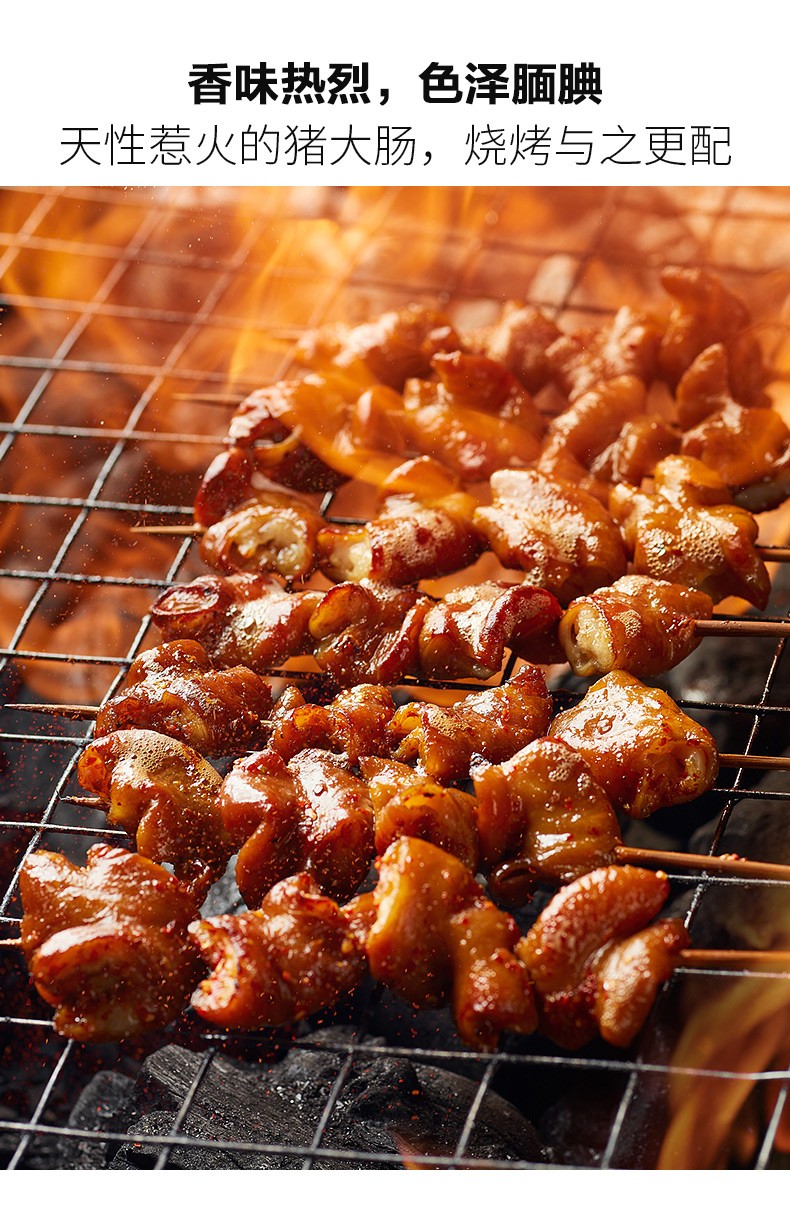 木屋烧烤食材肥肠串猪大肠户外烧烤半成品10串